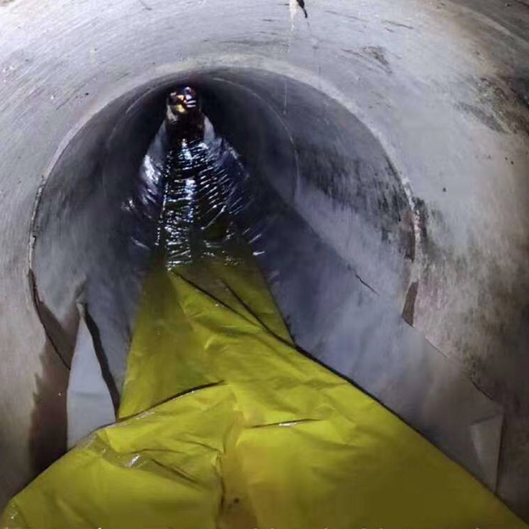 昭平管道光固化修复